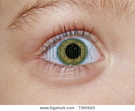 occhio verde