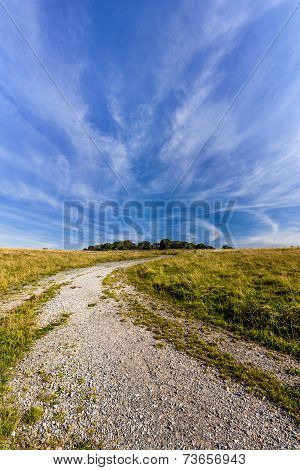 Track Leading To Badbury Rings Iron Age Fort