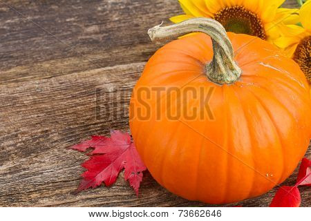 pumpkin on table