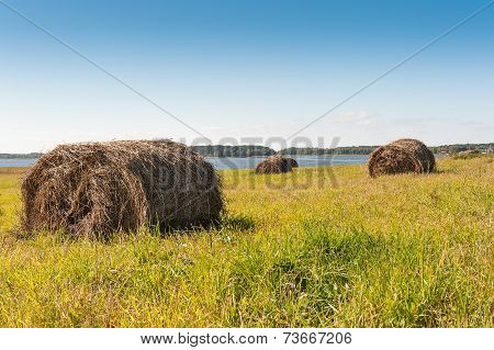 Mop Harvested Hay