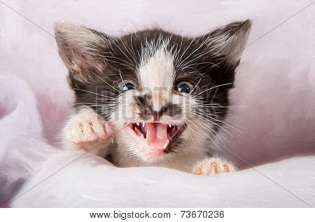 Kitten attack with open mouth