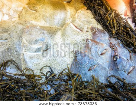 Fishes At Fish Market (fisketorget) In Bergen, Norway