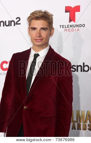 LOS ANGELES - OCT 10:  Christian Acosta at the 2014 NCLR ALMA Awards Arrivals at Civic Auditorium on October 10, 2014 in Pasadena, CA