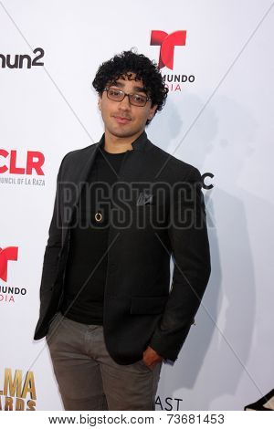 LOS ANGELES - OCT 10:  EJ Bonilla at the 2014 NCLR ALMA Awards Arrivals at Civic Auditorium on October 10, 2014 in Pasadena, CA