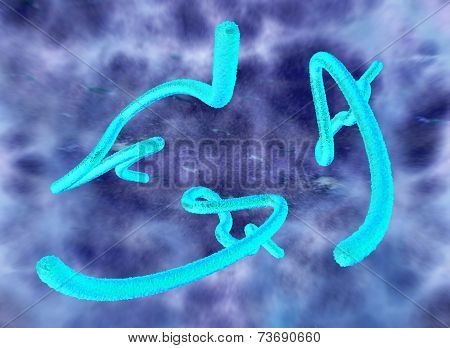 Deadly ebola virus disease under a microscope, rendered in 3D