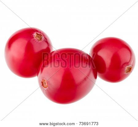 cranberry  isolated on white background cutout