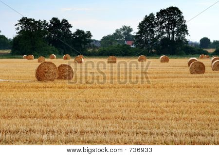 Nach der Ernte