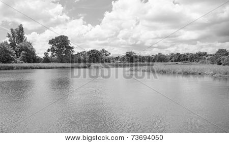 Bartley Water In The New Forest