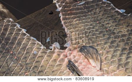 Arapaima Pirarucu skin over wooden table, top view, background