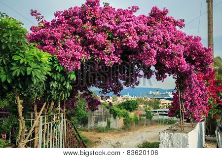 View To Seaport Of Corfu