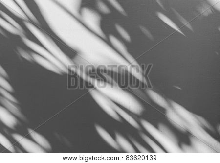 Tree Shadow On The White Wall Pattern