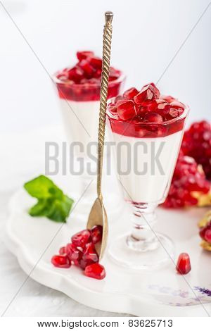 pannacotta  with pomegranate jelly anate syrup