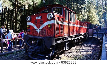 Tourists Take A Ride On Alishan Mountain Train
