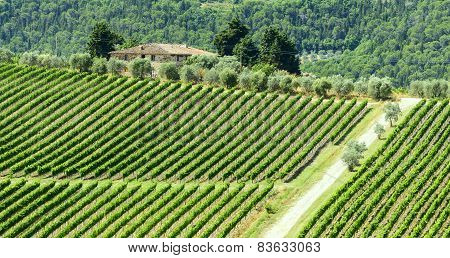 Chianti, Tuscany