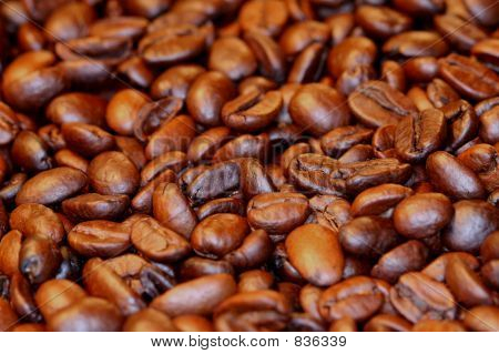 ziarna kawy