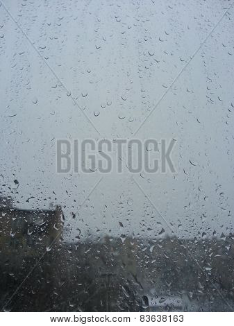 Rain drops on a window