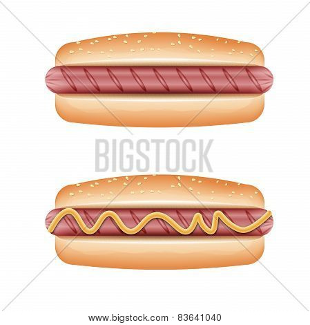 hot dog on white background