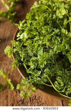 Raw Organic French Parsley Chervil