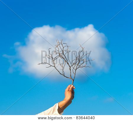 Tree In Hand Over Against Cloud