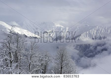 Beautiful snow-capped peaks of the Caucasus Mountains.