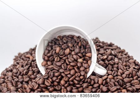 ceramic white mug on a pile of roasted coffee beans