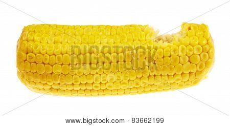 Cornstick corn on the cob isolated