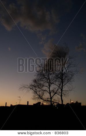 P9032025