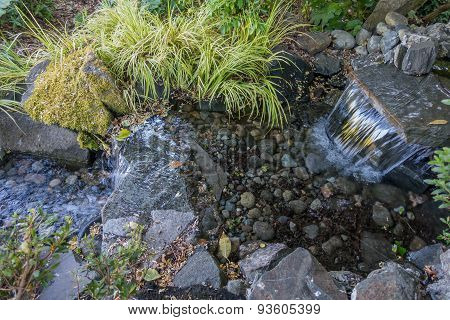 Clear Stream