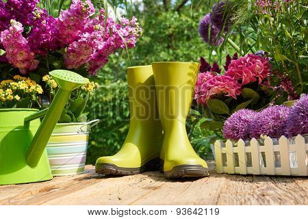 Gardening tools and flowers  on the terrace in the garden