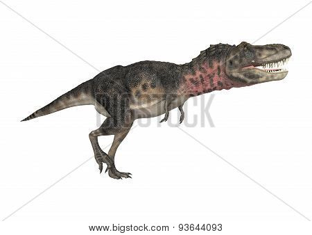 Dinosaur Tarbosaurus