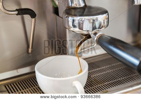 Prepares espresso in coffee shop