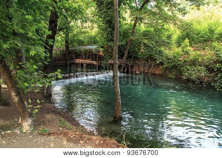 Flowing Water In Forest