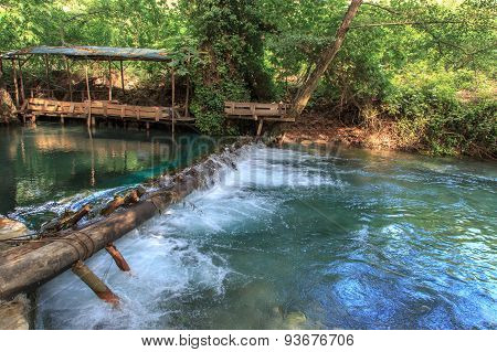 Flowing Water In Forest