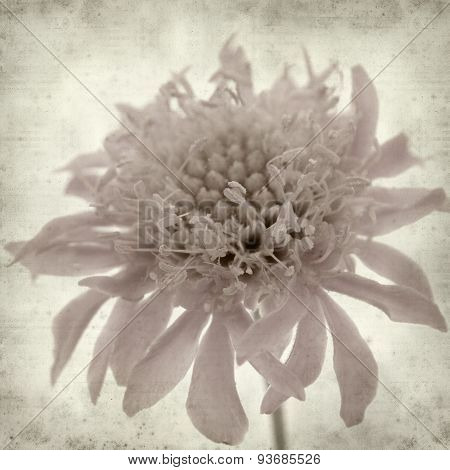 Textured Old Paper Background