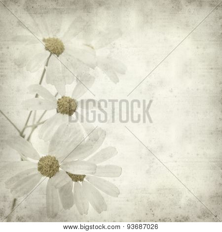 Textured Old Paper Background