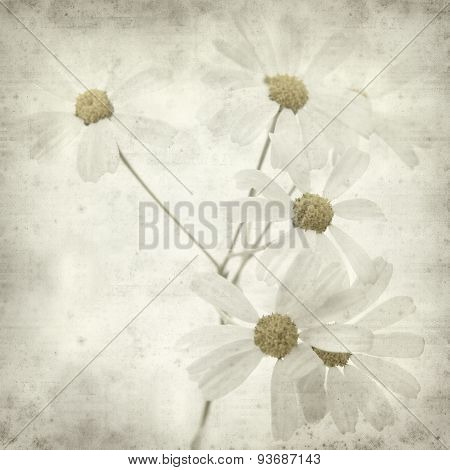 Textured Old Paper Background