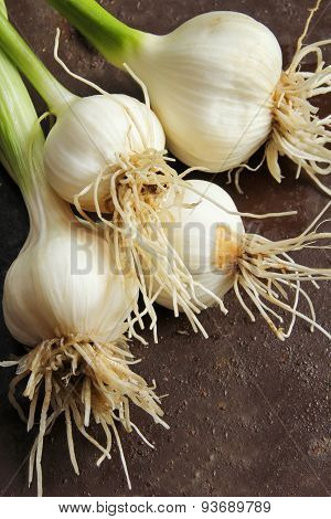 Fresh garlic from grown in kitchen garden