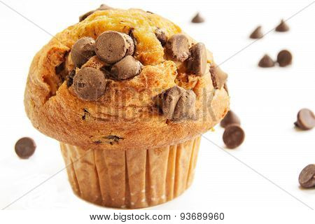 Chocolate Chip Cup Cake