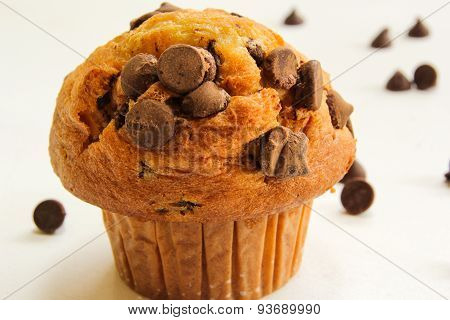 Chocolate Chip Cup Cake
