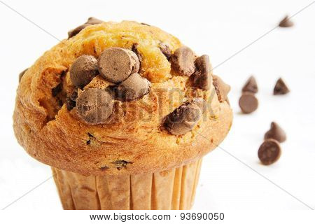 Chocolate Chip Cup Cake