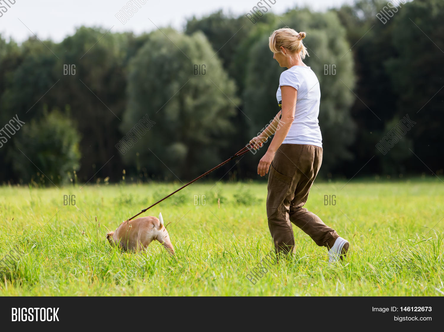 Woman Dog Leash Image & Photo (Free Trial) Bigstock