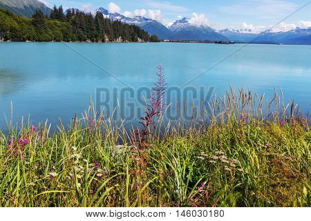 Mountains in Alaska, Valdez, USA