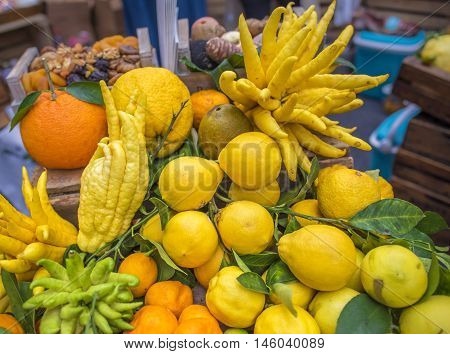 Mix of citrus fruits - Pile of different citrus fruits from oranges lemons mandarins and the strange shaped fingered citron (citrus medica scientific called). Picture taken at a market in Paris France