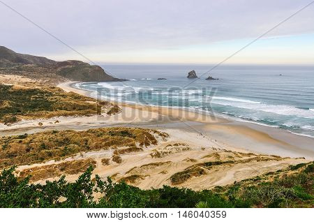 View Of Sandfly Bay In Otago Peninsula, New Zealand