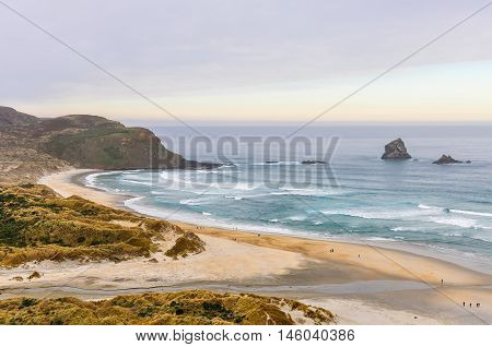 View Of Sandfly Bay In Otago Peninsula, New Zealand