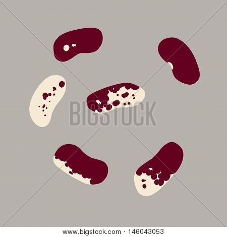 Red and white flat beans in random points of view