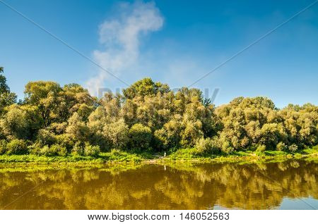 Desna River bank near Chernihiv - Ukraine