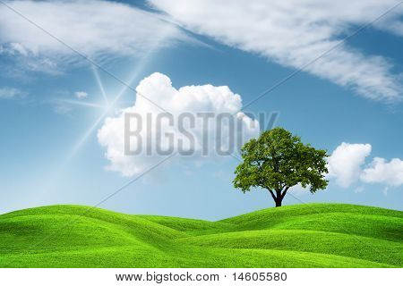 Planeta terra