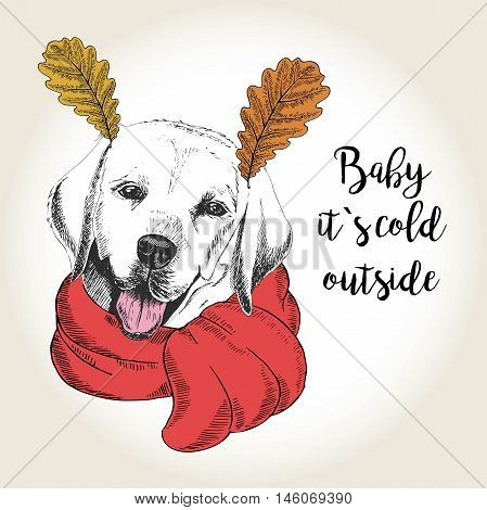 Vector close up portrait of labrador retriever wearing the red scarf and oak leaf ears. Hand drawn domestic dog illustration. Baby it s cold outside. Autumn engraved funny illustration.