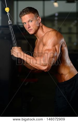 Fitness strength training workout bodybuilding concept background - muscular bodybuilder man doing exercises in gym